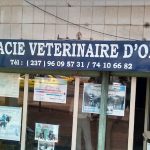 PHARMACIE OLEZOA, Yaoundé