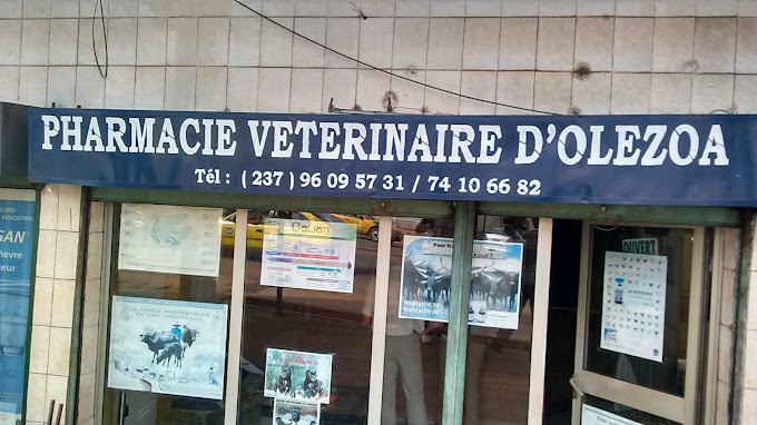 PHARMACIE OLEZOA, Yaoundé