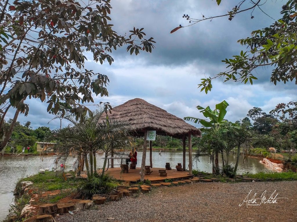Eco Park - Visit Yaoundé